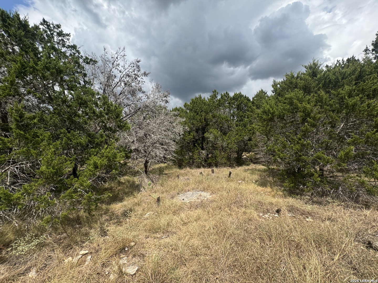168 Brushy Road Spring Branch, TX 78070 - Photo 5 of 13 Gallery Image 5