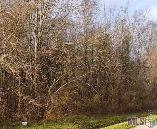 $19,000 | Lot 51-a&b Lot 51-a&b El Scott Avenue, Baton Rouge, LA 70811