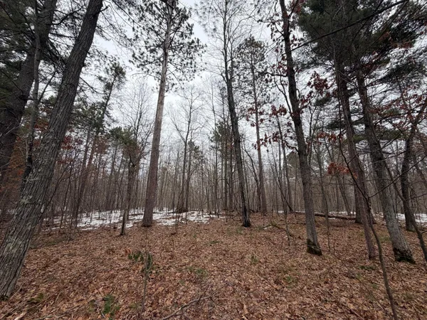 $52,000 | Xxxxx Xxxxx County Road, Danbury, WI 54830