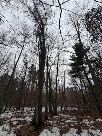 $52,000 | Xxxxx Xxxxx County Road, Danbury, WI 54830