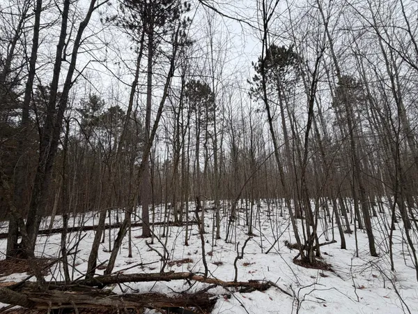 $52,000 | Xxxxx Xxxxx County Road, Danbury, WI 54830