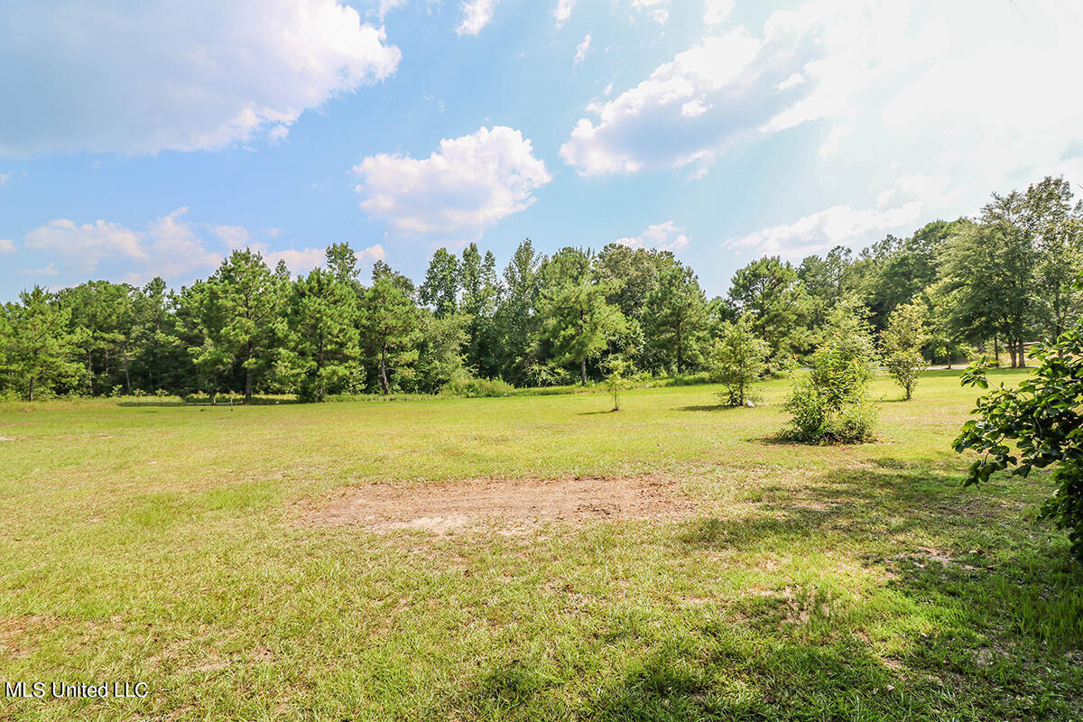 2212 Crossroads Road Lucedale, MS 39452 - Photo 22 of 24 44