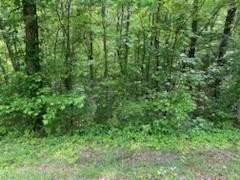 356 Highway 68 Decatur, TN 37322 - Photo 3 of 9 Gallery Image 3