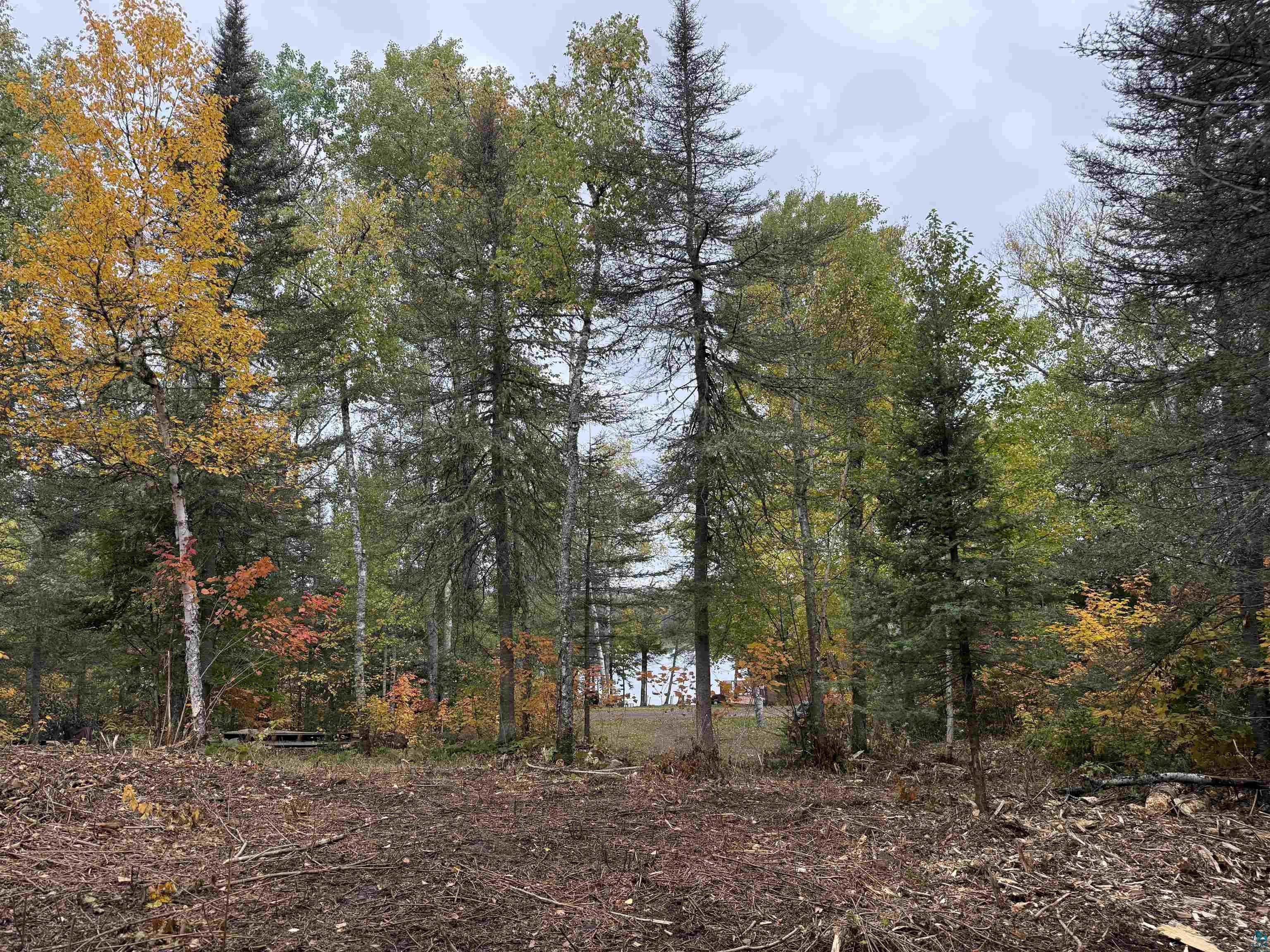 10 Gust Lake Road Lutsen, MN 55612 - Photo 21 of 26 Gallery Image 21