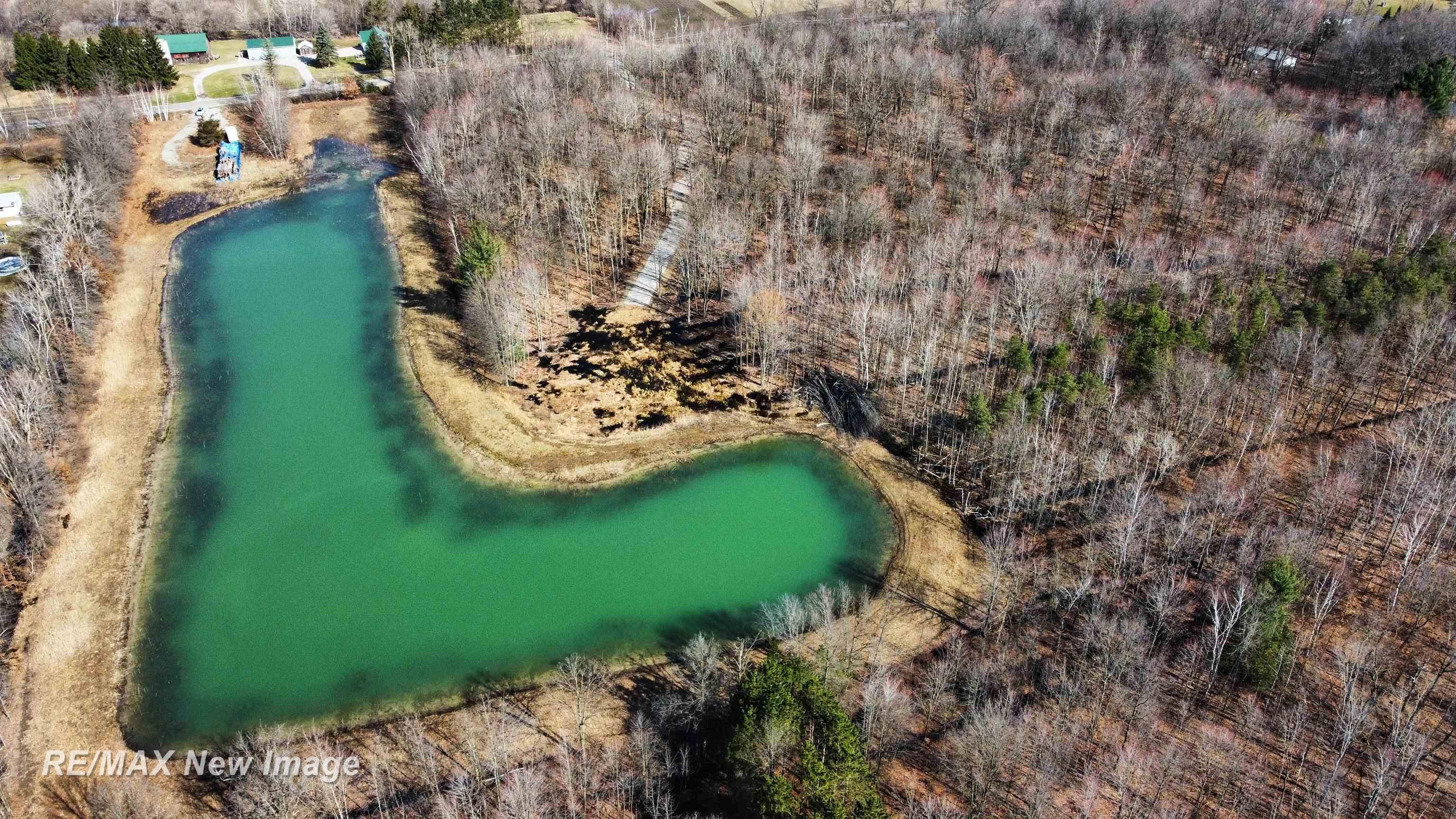 14219 West Townline Road St. Charles, MI 48655 - Photo 1 of 16