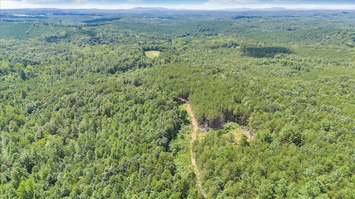 0 Milam Road Pittsville, VA 24139 - Photo 19 of 31 19-DJI_20250826131549_0071_D