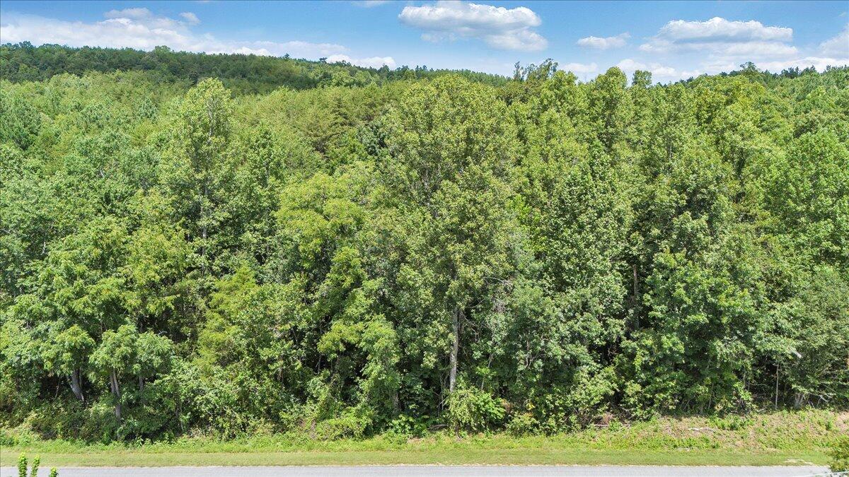 0 Milam Road Pittsville, VA 24139 - Photo 2 of 31 02-DJI_20250826130033_0053_D