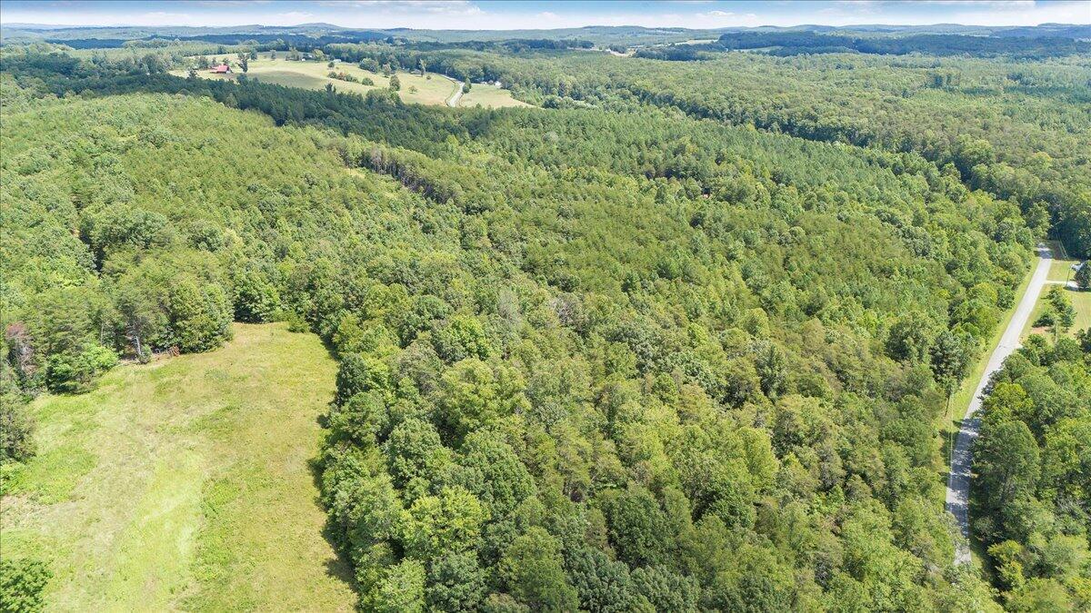 0 Milam Road Pittsville, VA 24139 - Photo 4 of 31 04-DJI_20250826130403_0055_D