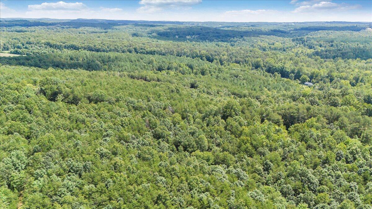 0 Milam Road Pittsville, VA 24139 - Photo 6 of 31 06-DJI_20250826130456_0057_D