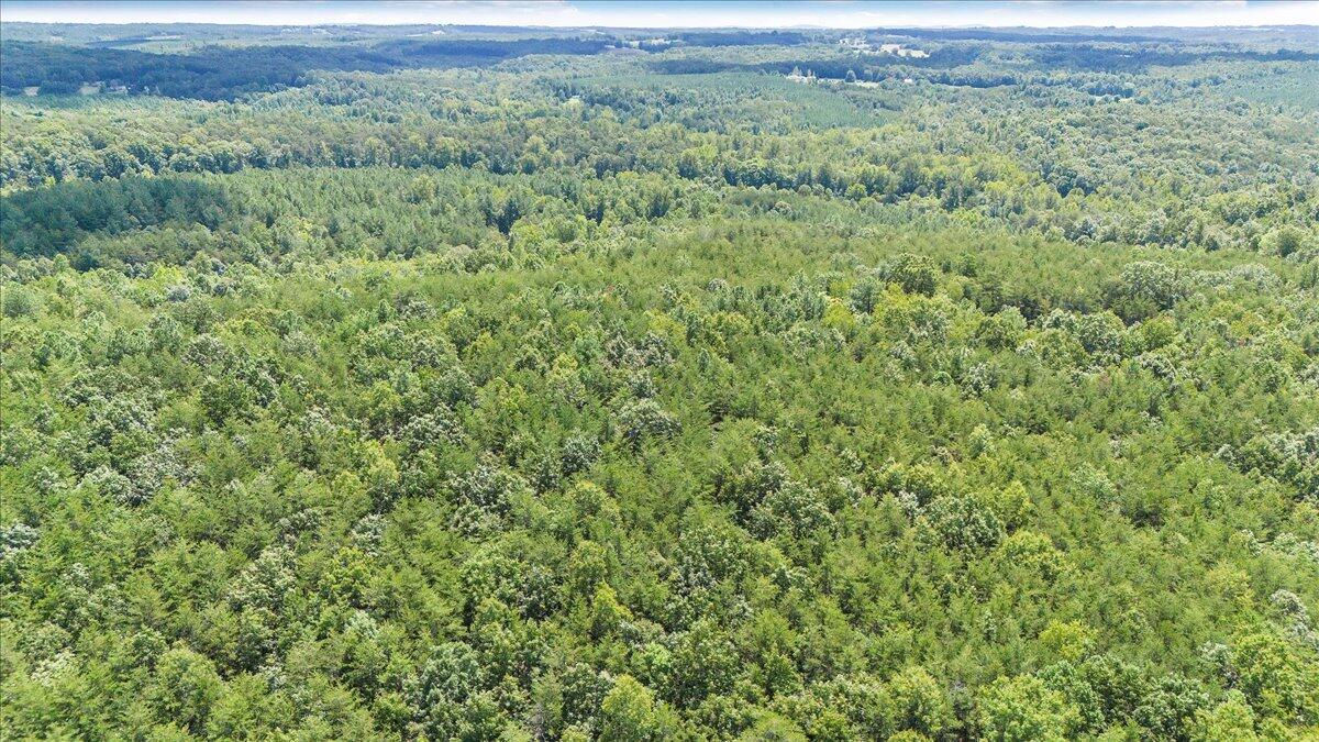 0 Milam Road Pittsville, VA 24139 - Photo 7 of 31 07-DJI_20250826130542_0058_D