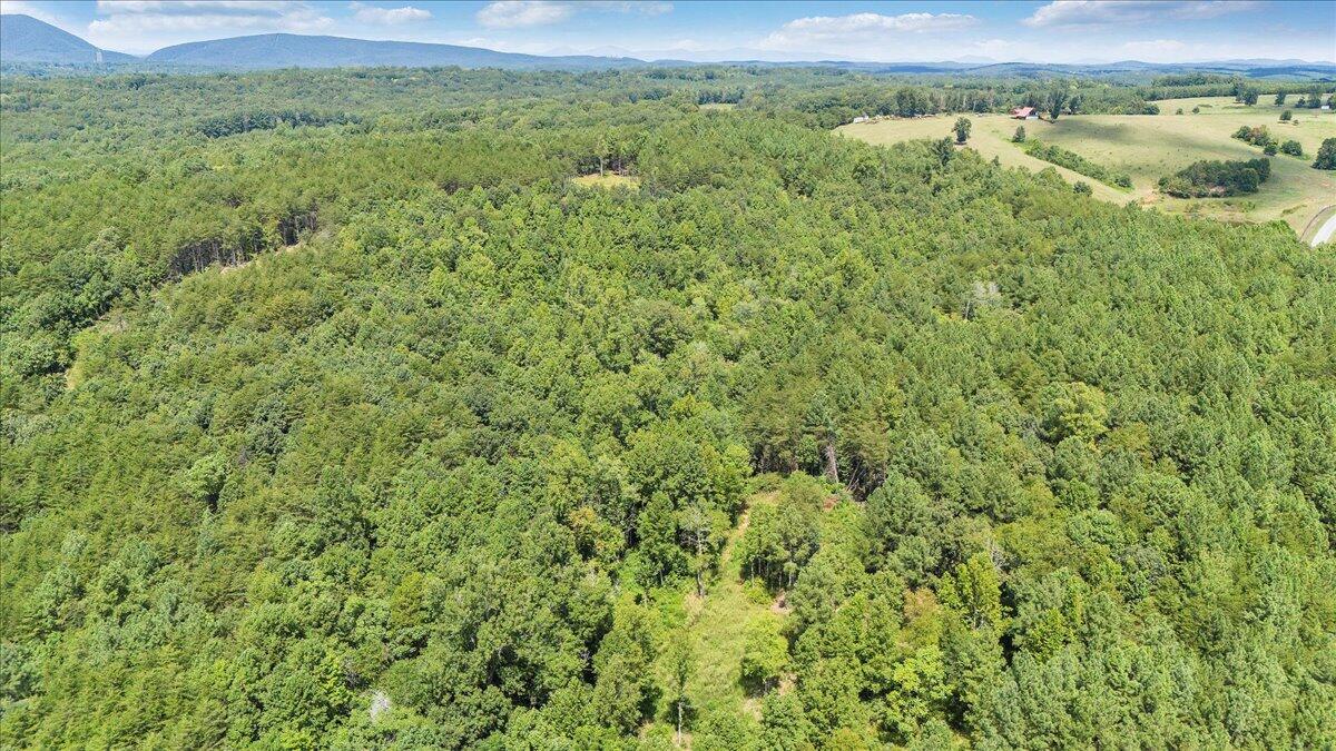 0 Milam Road Pittsville, VA 24139 - Photo 8 of 31 08-DJI_20250826130705_0059_D