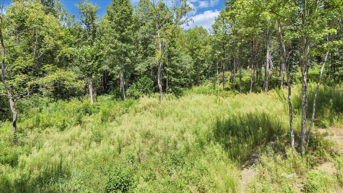 0 Milam Road Pittsville, VA 24139 - Photo 9 of 31 09-DJI_20250826130821_0060_D