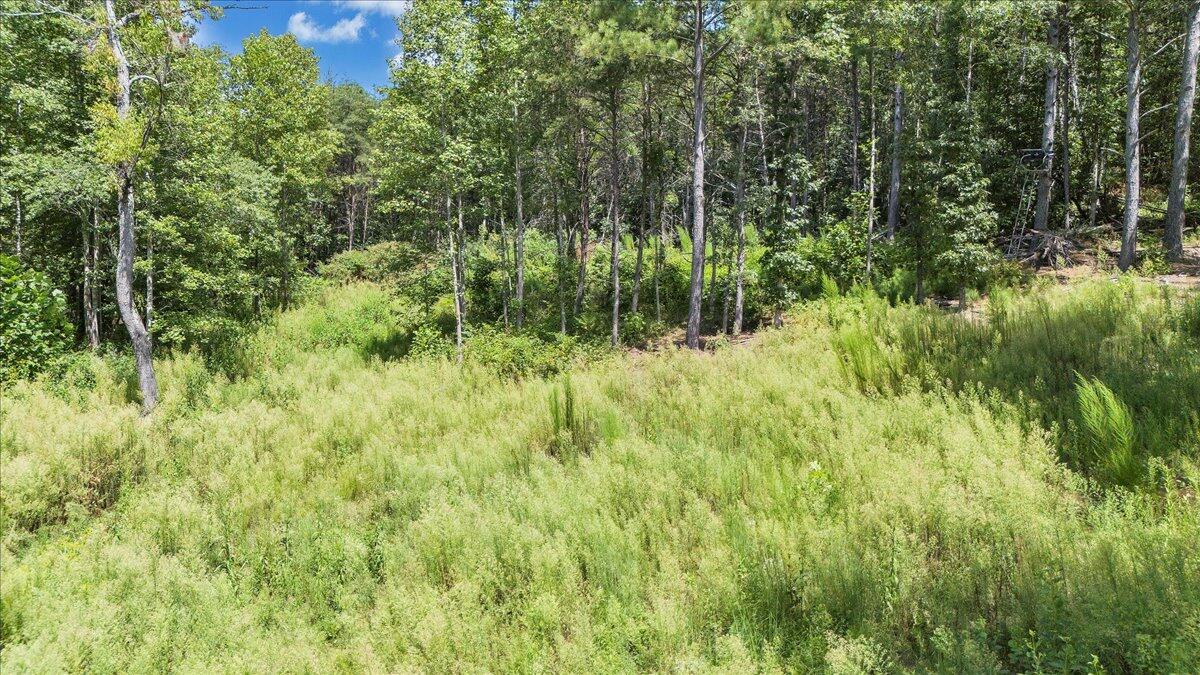 0 Milam Road Pittsville, VA 24139 - Photo 10 of 31 10-DJI_20250826130830_0061_D