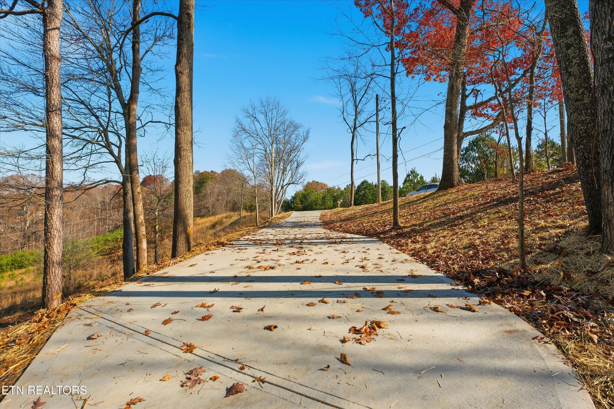 4783 French Road Knoxville, TN 37920 - Photo 26 of 29