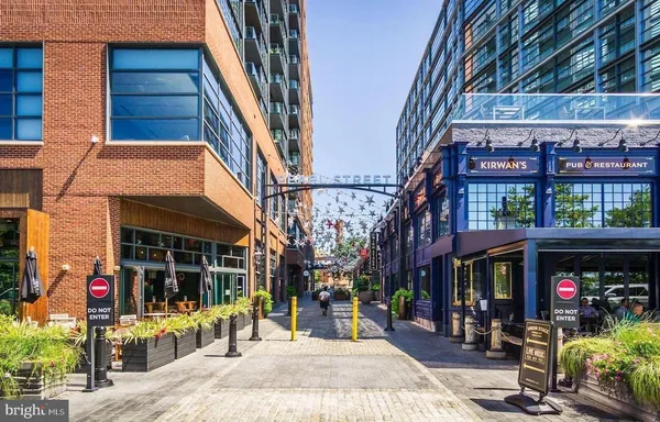 a view of a swimming pool with a garden and plants