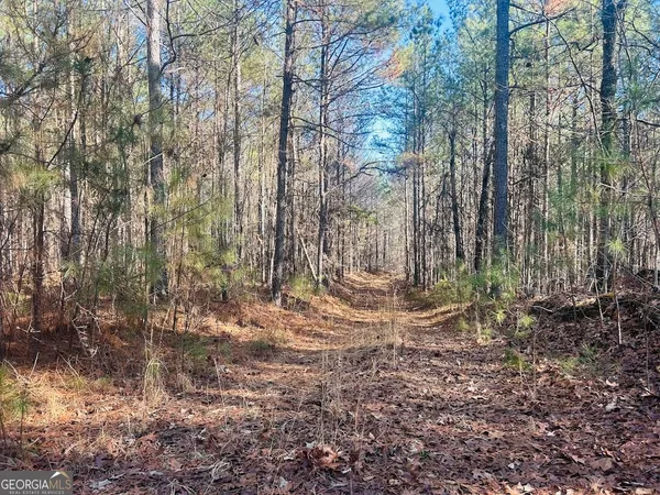 $105,000 | 0 Bluff Springs Road, Ashland, AL 36251