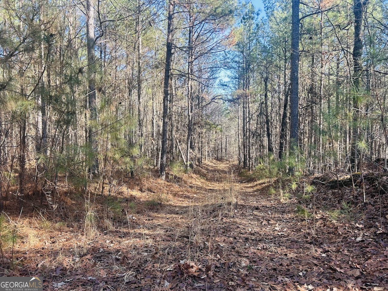 0 Bluff Springs Road Ashland, AL 36251 - Photo 1 of 20