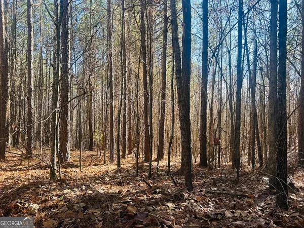$105,000 | 0 Bluff Springs Road, Ashland, AL 36251