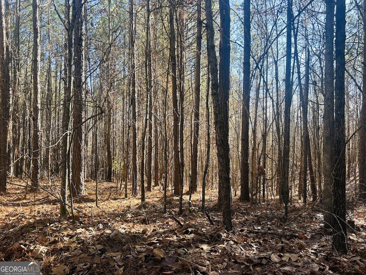 0 Bluff Springs Road Ashland, AL 36251 - Photo 11 of 20