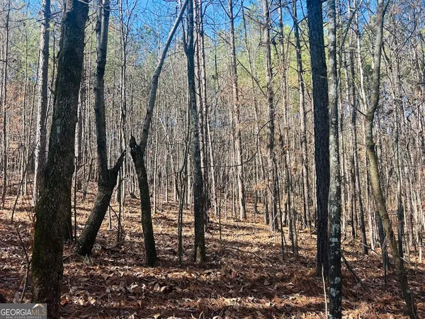 $105,000 | 0 Bluff Springs Road, Ashland, AL 36251
