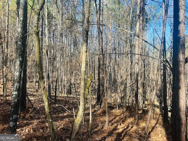 $105,000 | 0 Bluff Springs Road, Ashland, AL 36251