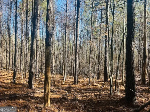 $105,000 | 0 Bluff Springs Road, Ashland, AL 36251