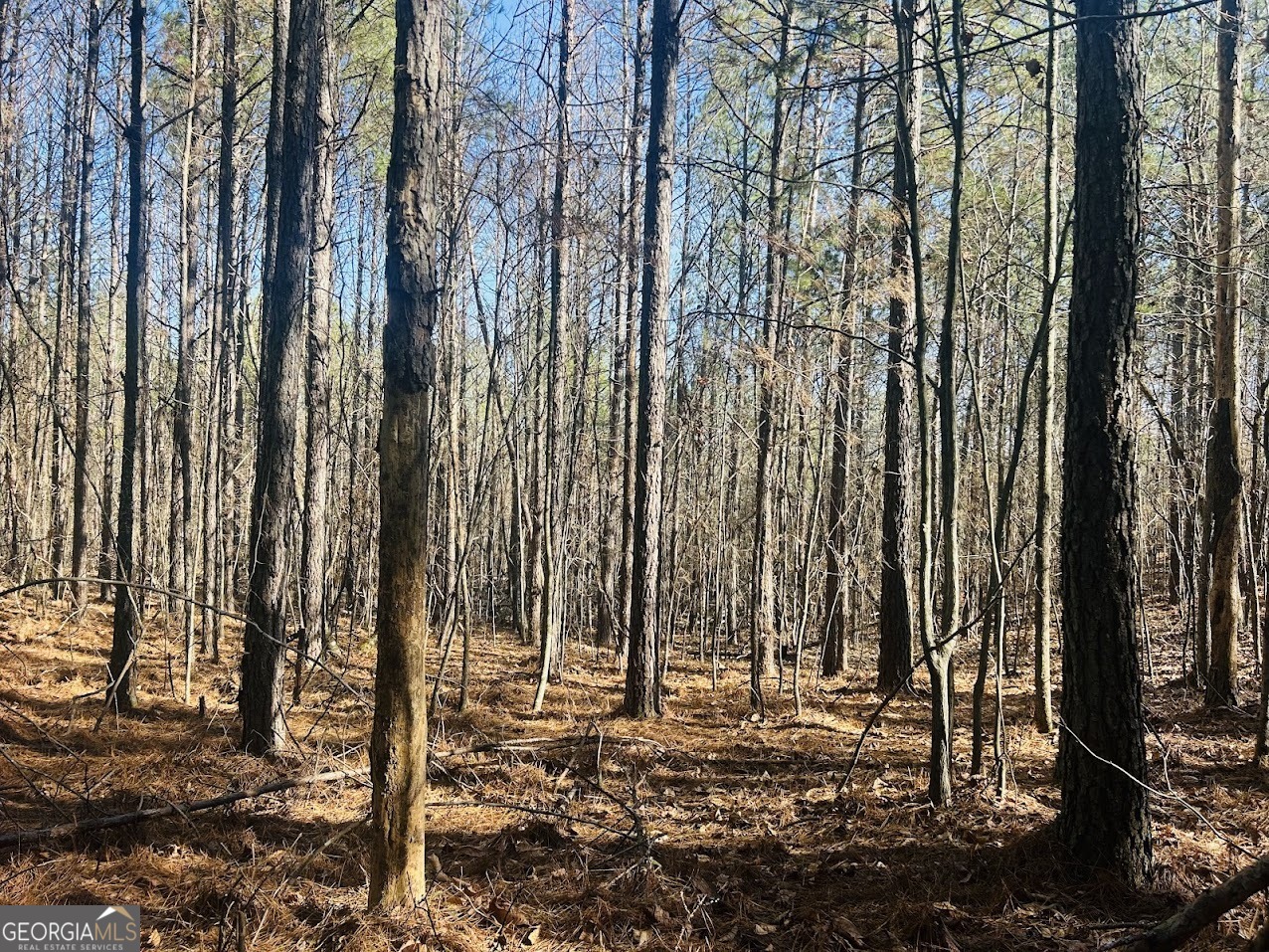 0 Bluff Springs Road Ashland, AL 36251 - Photo 14 of 20