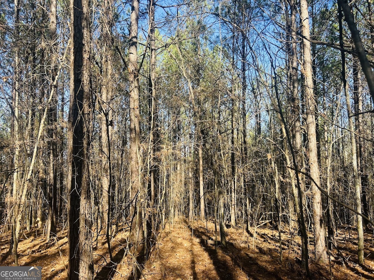 0 Bluff Springs Road Ashland, AL 36251 - Photo 15 of 20