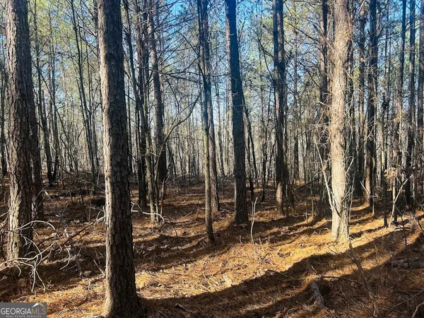 $105,000 | 0 Bluff Springs Road, Ashland, AL 36251