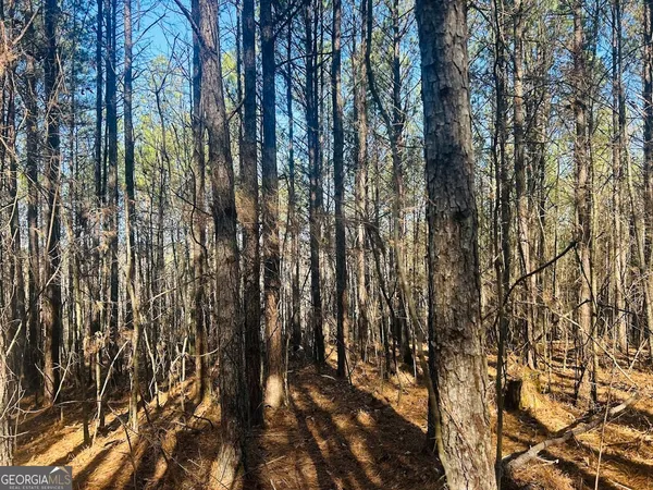 $105,000 | 0 Bluff Springs Road, Ashland, AL 36251