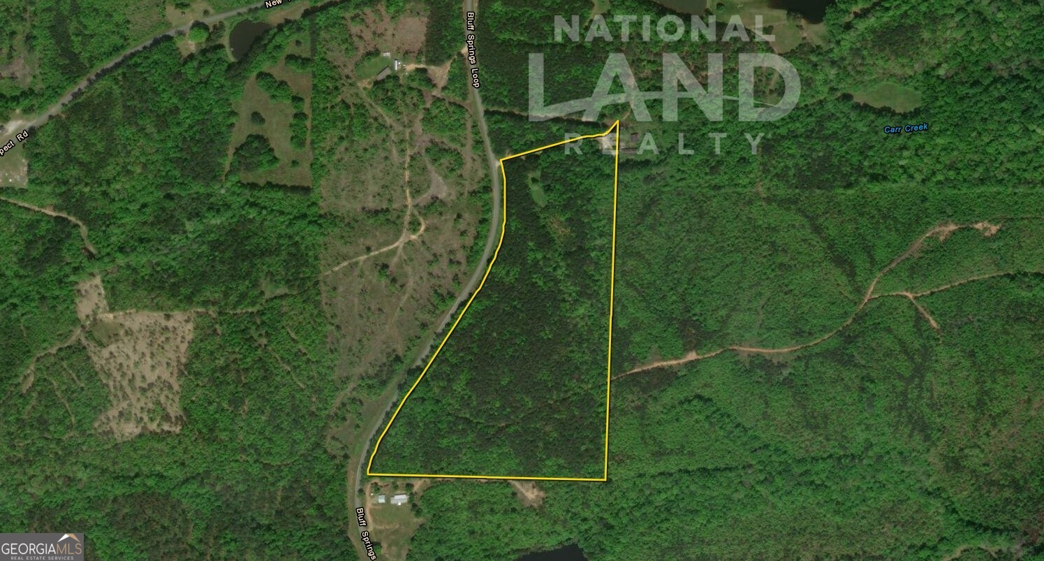 0 Bluff Springs Road Ashland, AL 36251 - Photo 18 of 20