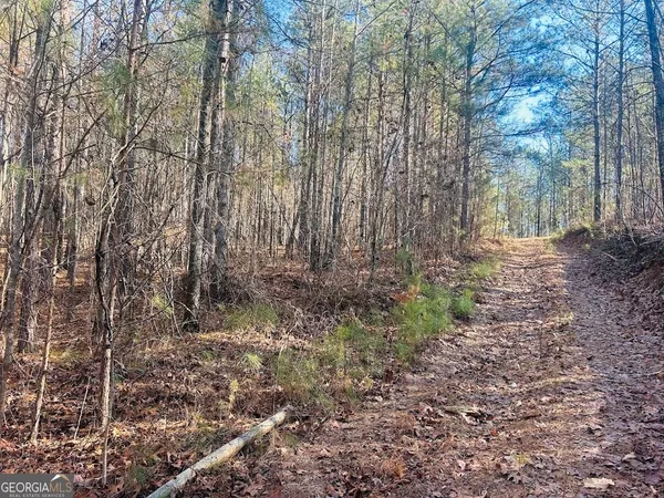 $105,000 | 0 Bluff Springs Road, Ashland, AL 36251