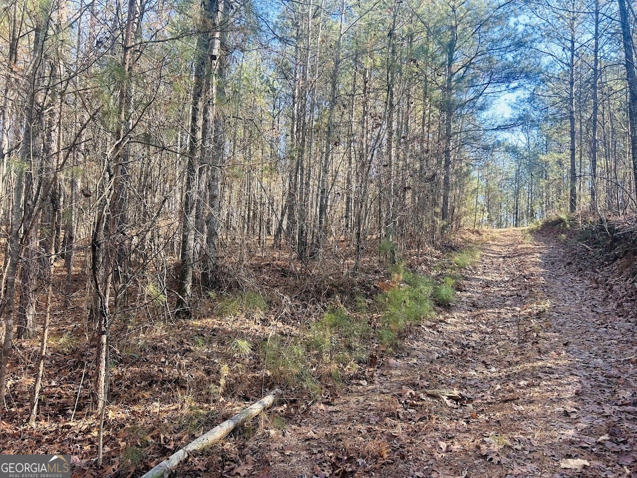 0 Bluff Springs Road Ashland, AL 36251 - Photo 2 of 20