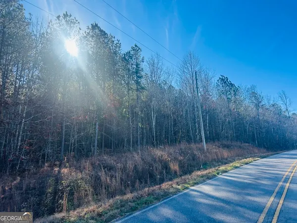 $105,000 | 0 Bluff Springs Road, Ashland, AL 36251