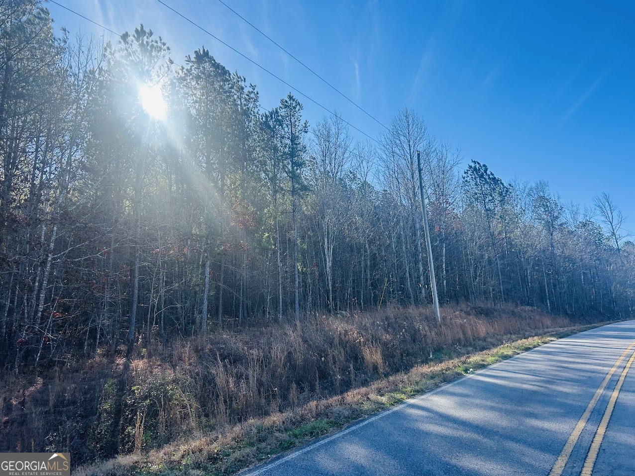 0 Bluff Springs Road Ashland, AL 36251 - Photo 3 of 20