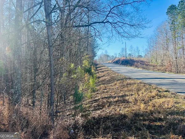 $105,000 | 0 Bluff Springs Road, Ashland, AL 36251