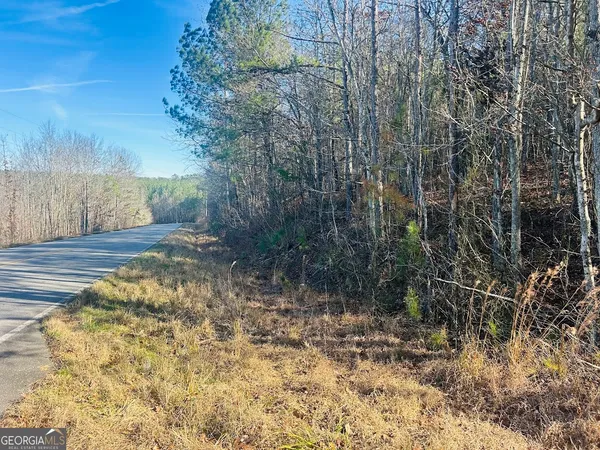 $105,000 | 0 Bluff Springs Road, Ashland, AL 36251