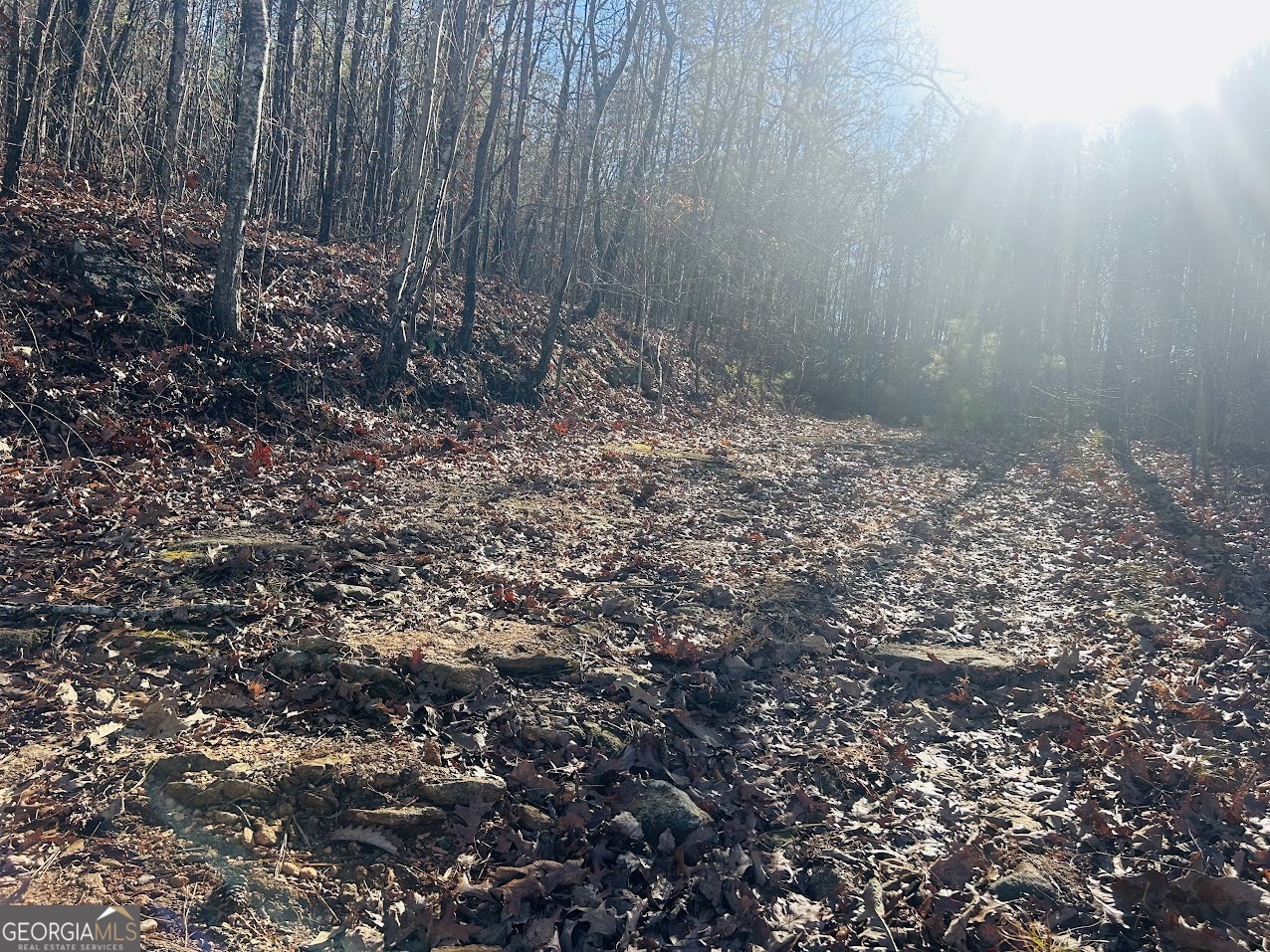 0 Bluff Springs Road Ashland, AL 36251 - Photo 6 of 20