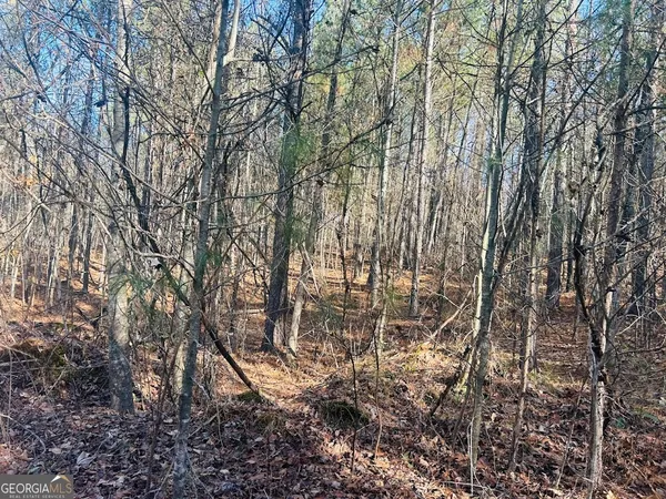 $105,000 | 0 Bluff Springs Road, Ashland, AL 36251
