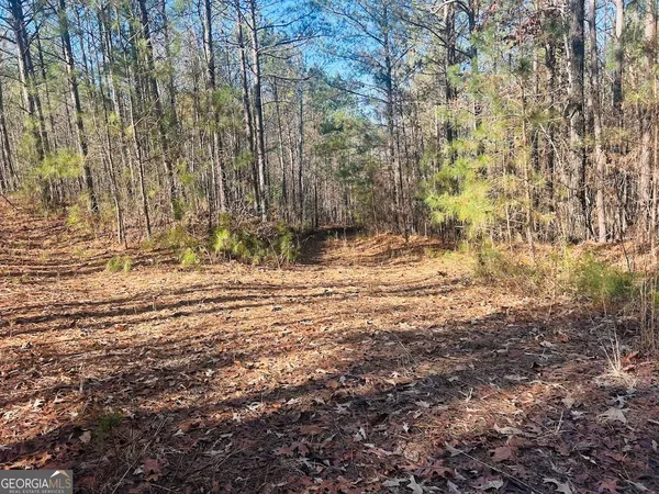 $105,000 | 0 Bluff Springs Road, Ashland, AL 36251