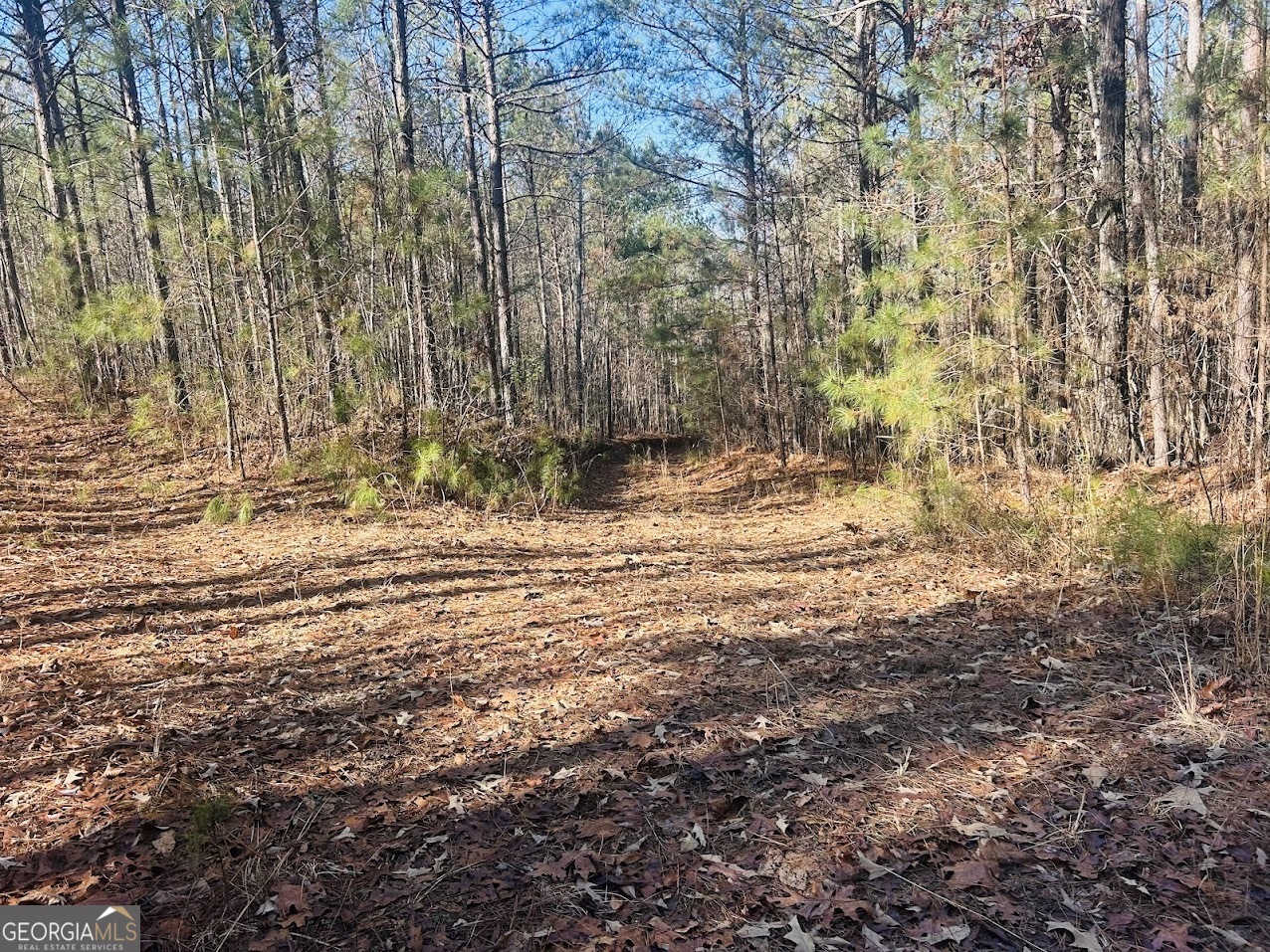 0 Bluff Springs Road Ashland, AL 36251 - Photo 8 of 20