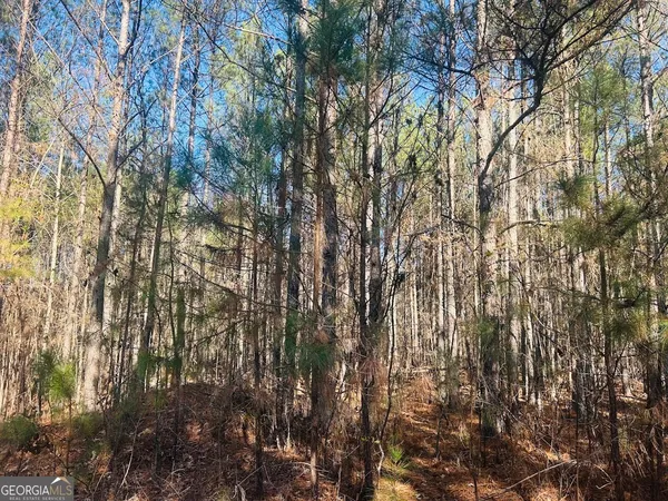 $105,000 | 0 Bluff Springs Road, Ashland, AL 36251