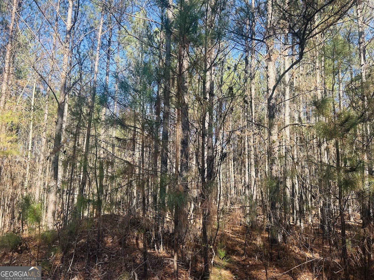 0 Bluff Springs Road Ashland, AL 36251 - Photo 9 of 20