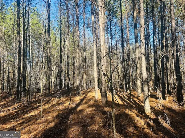 $105,000 | 0 Bluff Springs Road, Ashland, AL 36251