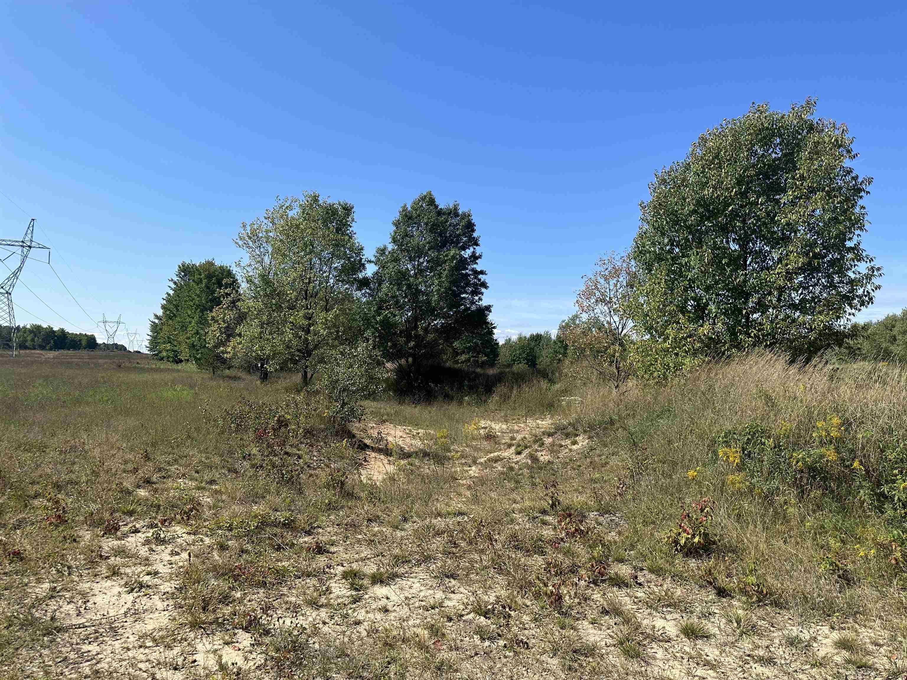 0 Viaduct Road Copemish, MI 49625 - Photo 5 of 19