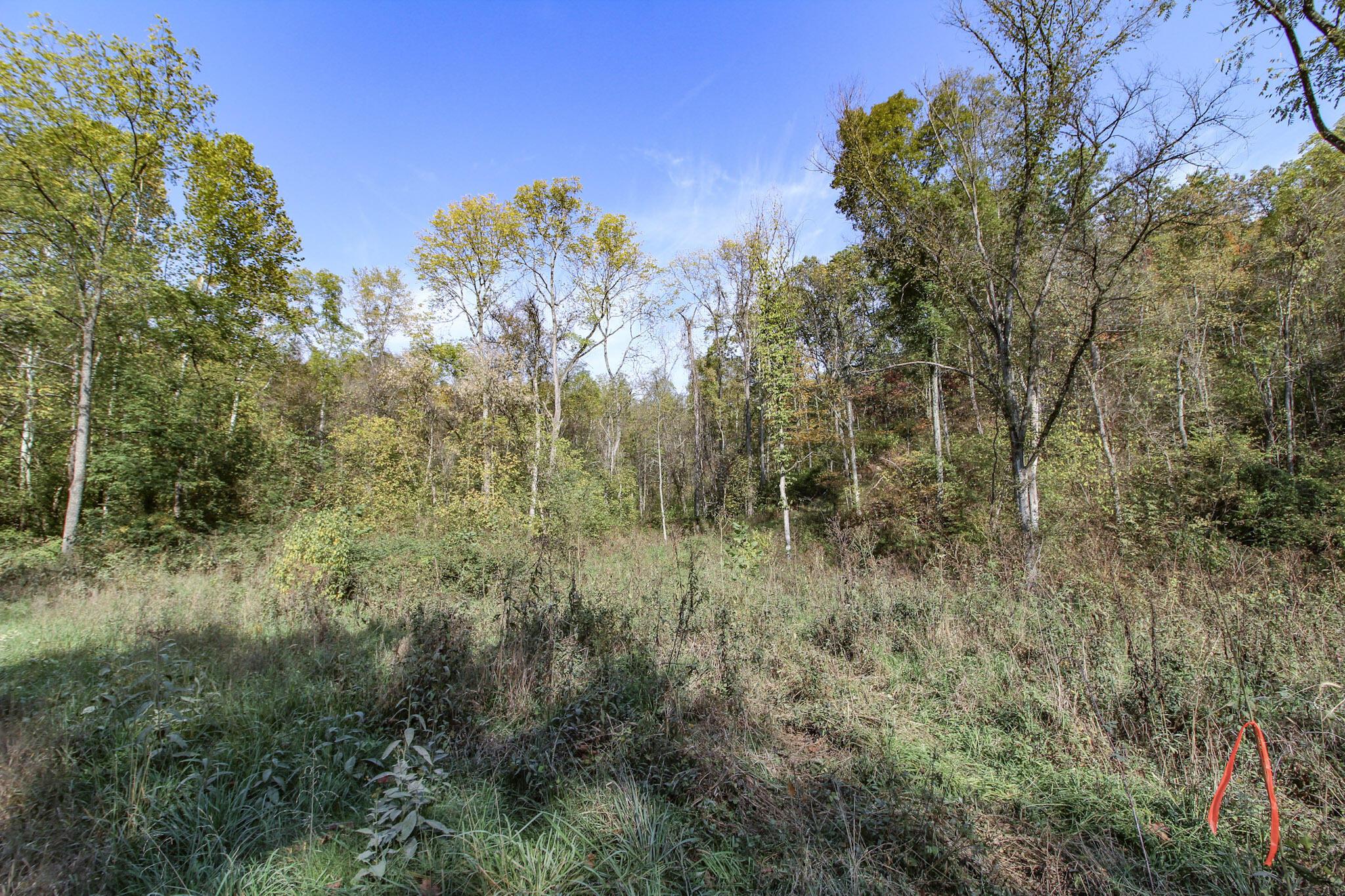 Lot 4 Brooks Road Reno, OH 45773 - Photo 13 of 16 11-IMG_9149