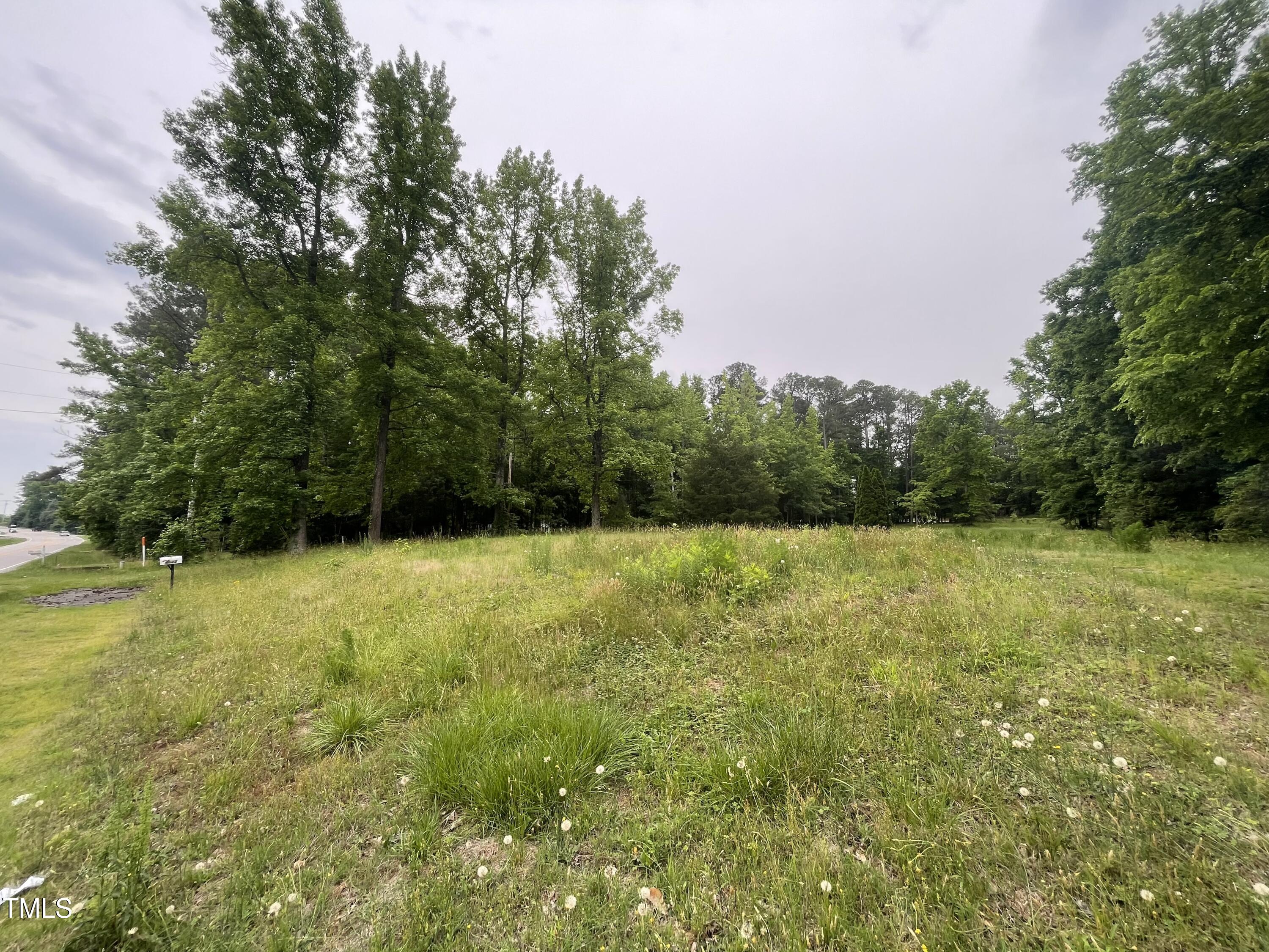 4628 Rogers Road Rolesville, NC 27571 - Photo 66 of 66 IMG_7571