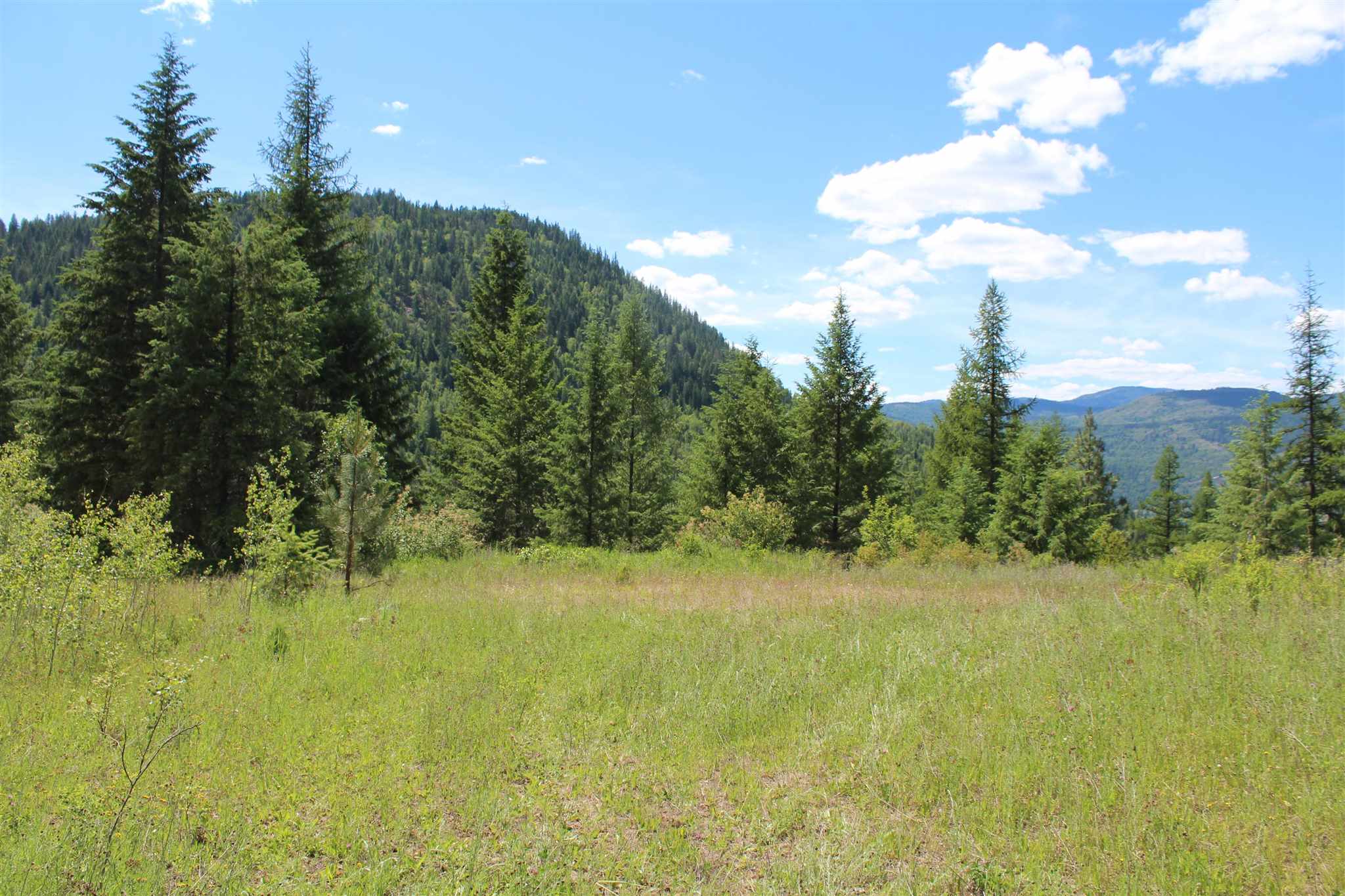 Nka Cedar Creek Road Colville, WA 99114 - Photo 2 of 10 Gallery Image 2