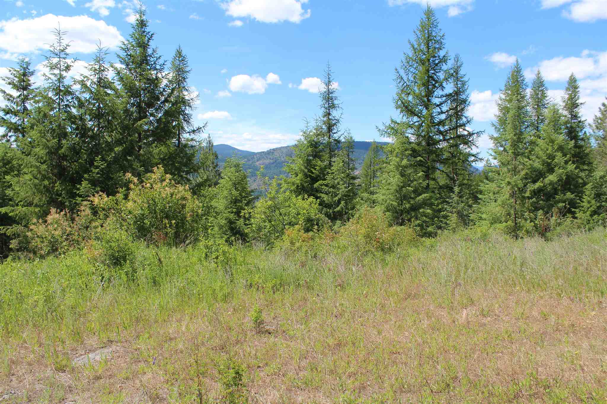 Nka Cedar Creek Road Colville, WA 99114 - Photo 3 of 10 Gallery Image 3