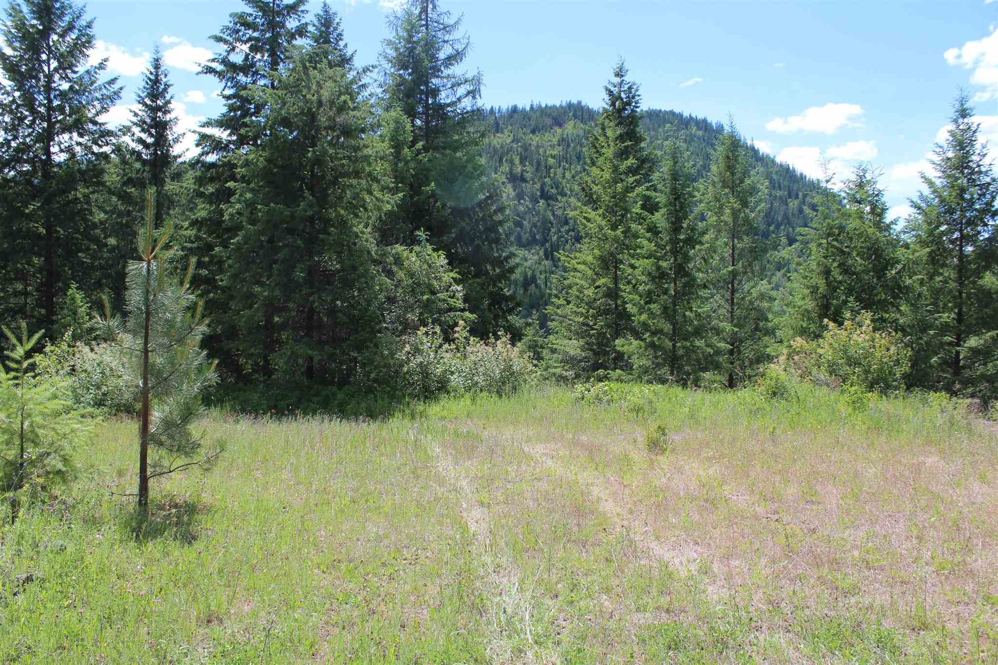 Nka Cedar Creek Road Colville, WA 99114 - Photo 4 of 10 Gallery Image 4